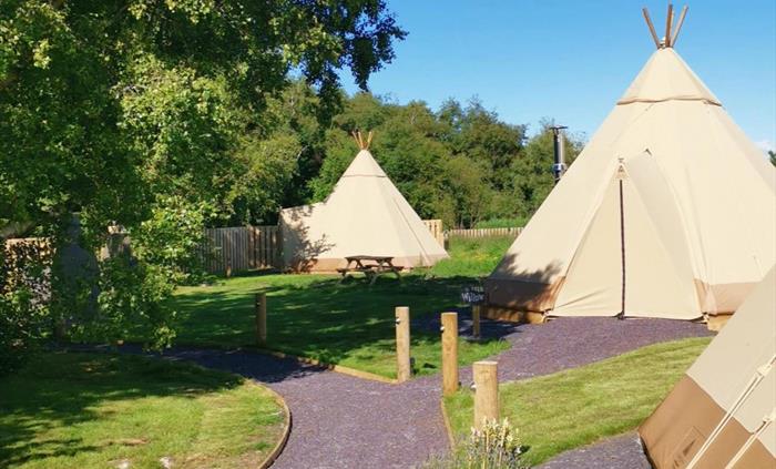 Tipi Glamping Wales